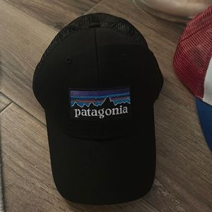 Patagonia trucker hat